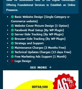 E-Business IT Digital Kickstart Package Combo-01 – Affordable Website Design & Digital Marketing Starter Pack