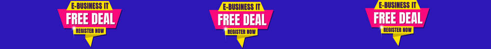 E-Business IT Exclusive Offer – SEO-friendly website with One Stop Solution